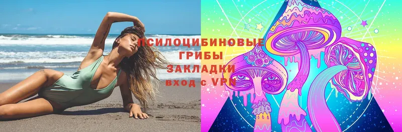 хочу наркоту  Ивдель  Галлюциногенные грибы Psilocybe 